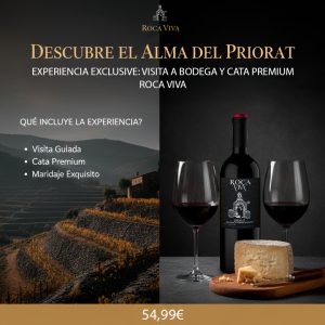 EXPERIENCIA EXCLUSIVE: ROCA VIVA